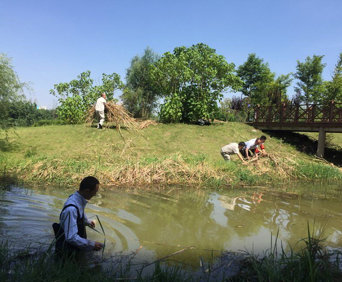 不朽情缘医疗器械园